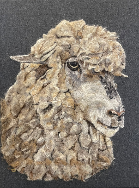 Woolly Sheep by Megan Cleland