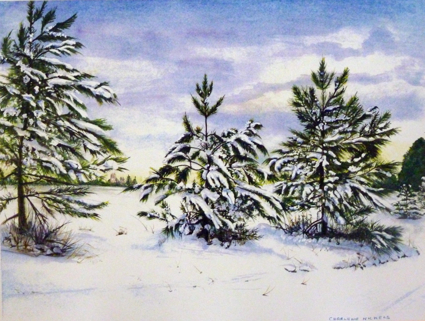 Pines of Harwood Hills by Charlene Nickels