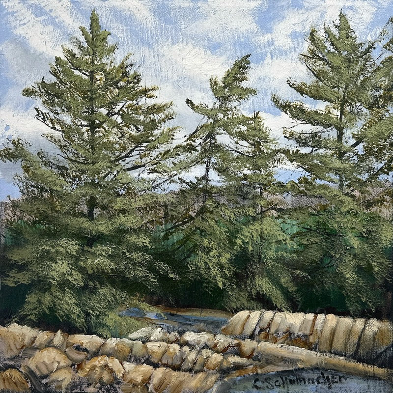 Georgian Bay Rock by Lynne Schumacher