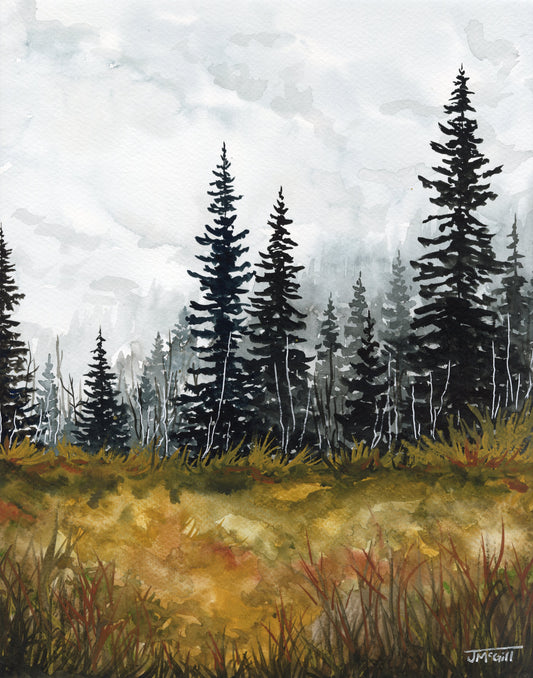 Echos of Silence by Jaime McGill