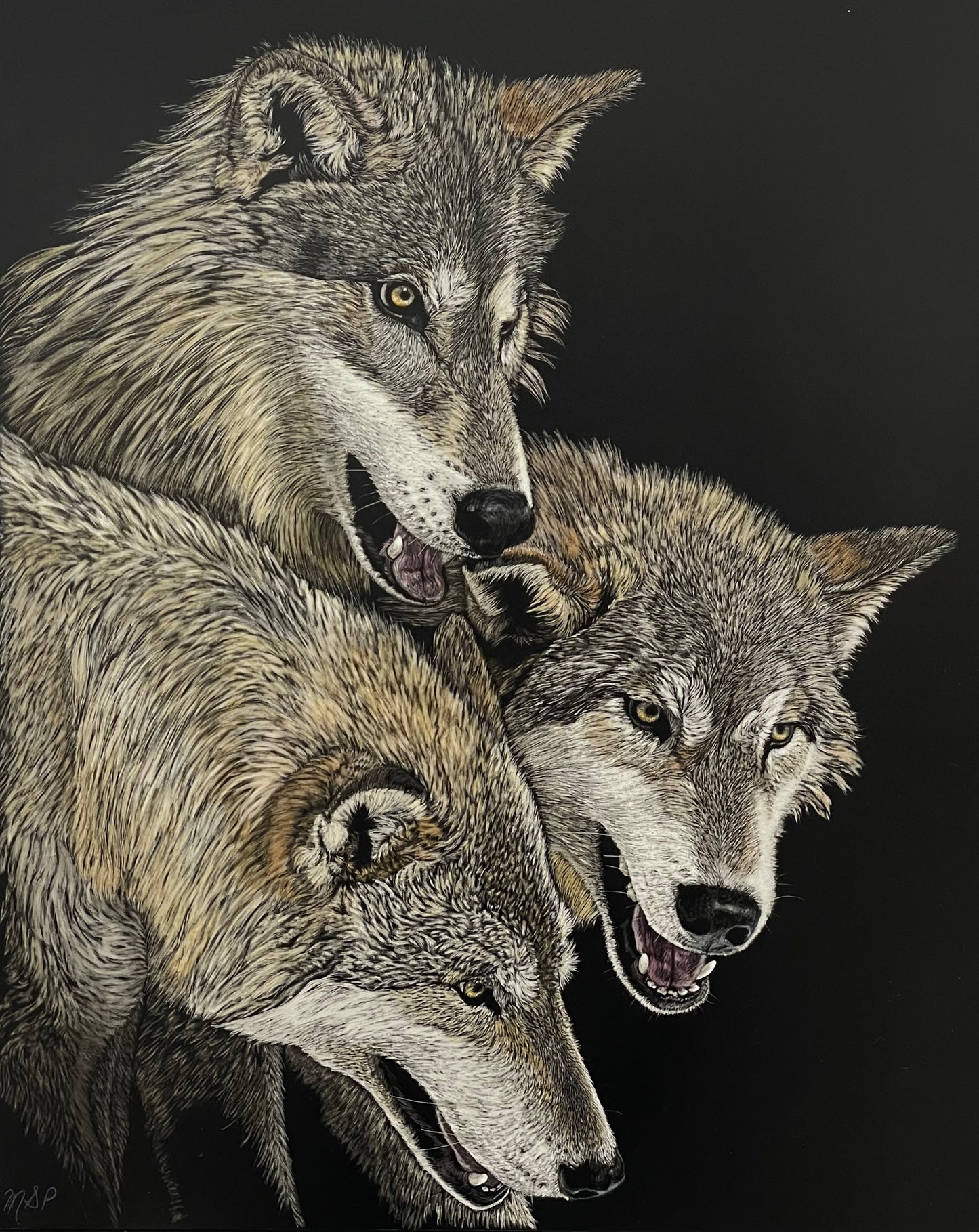The Pack by Margaret Pardy