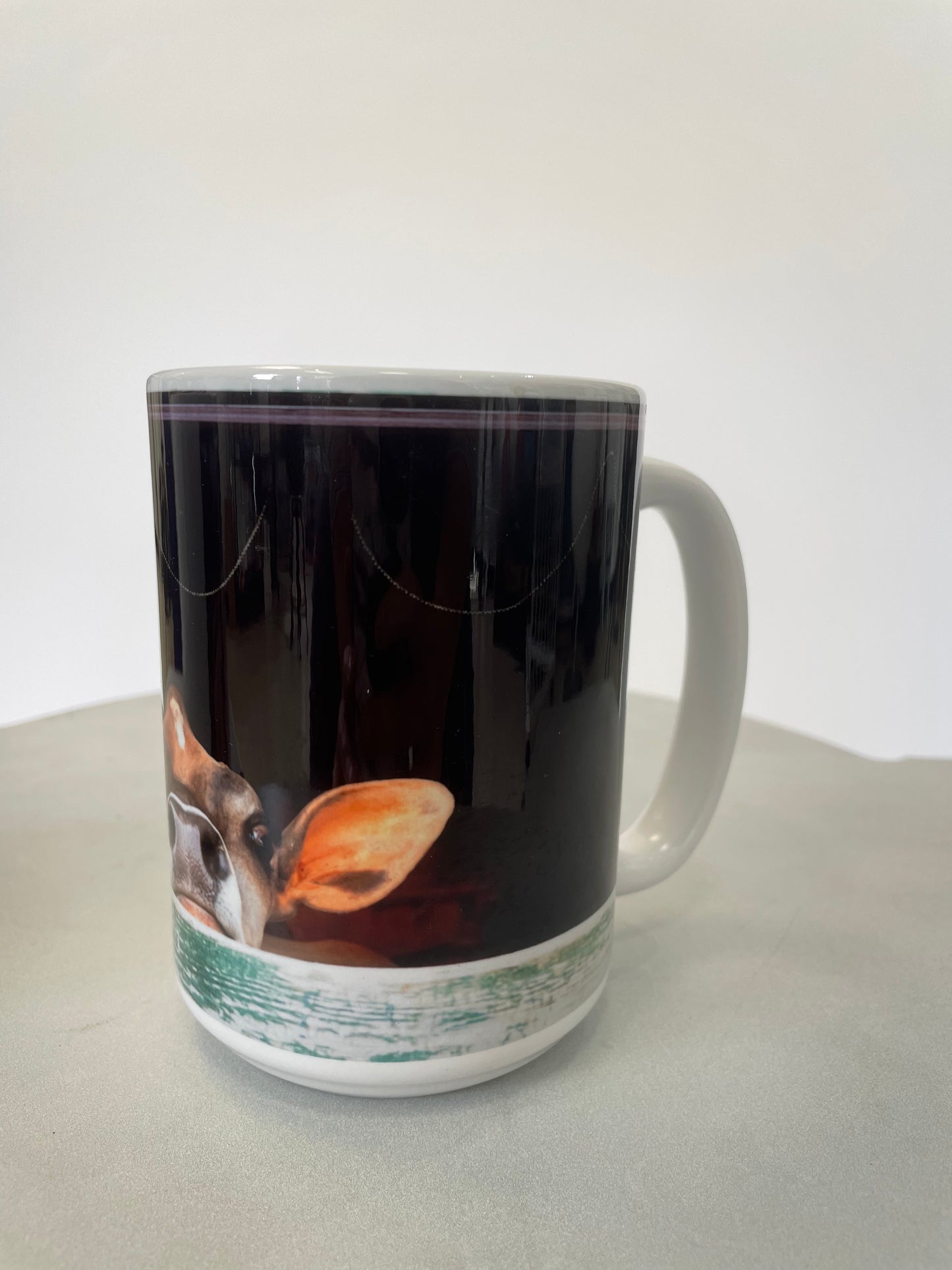 Jersey Girl Mug by Sabrina Leeder