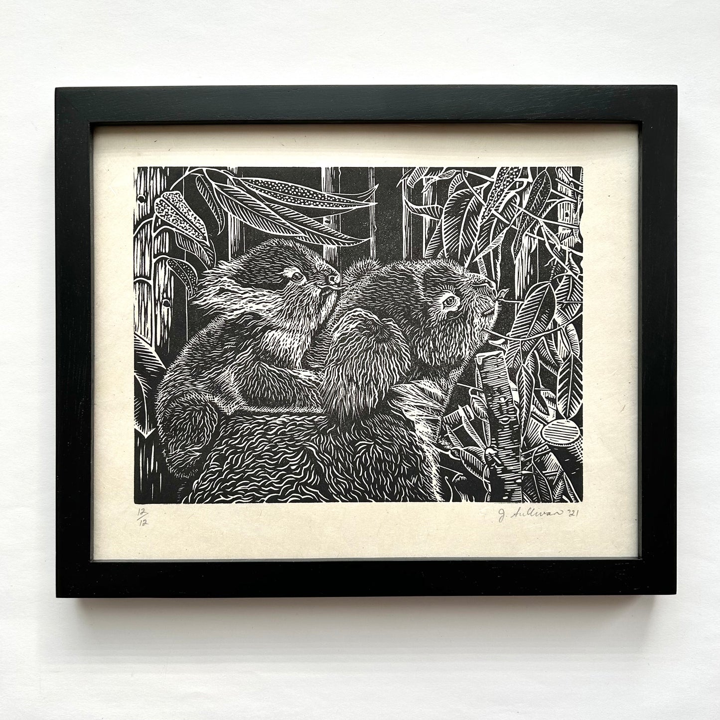 Koala Love by Jacquie Sullivan