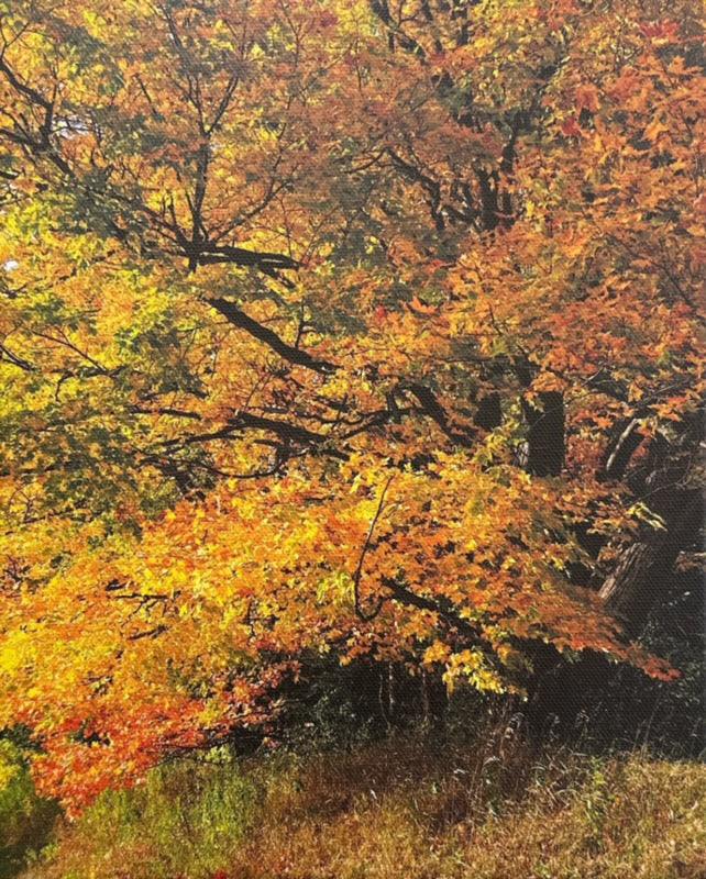 Awesome Autumn by EC Munson