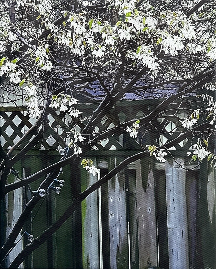 Service Berry Spring by EC Munson