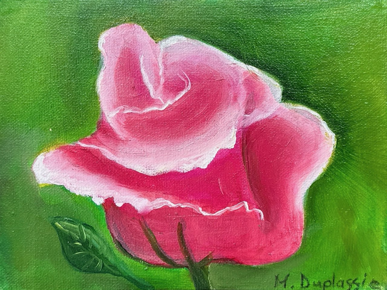 Pink Rose by Helen Duplassie