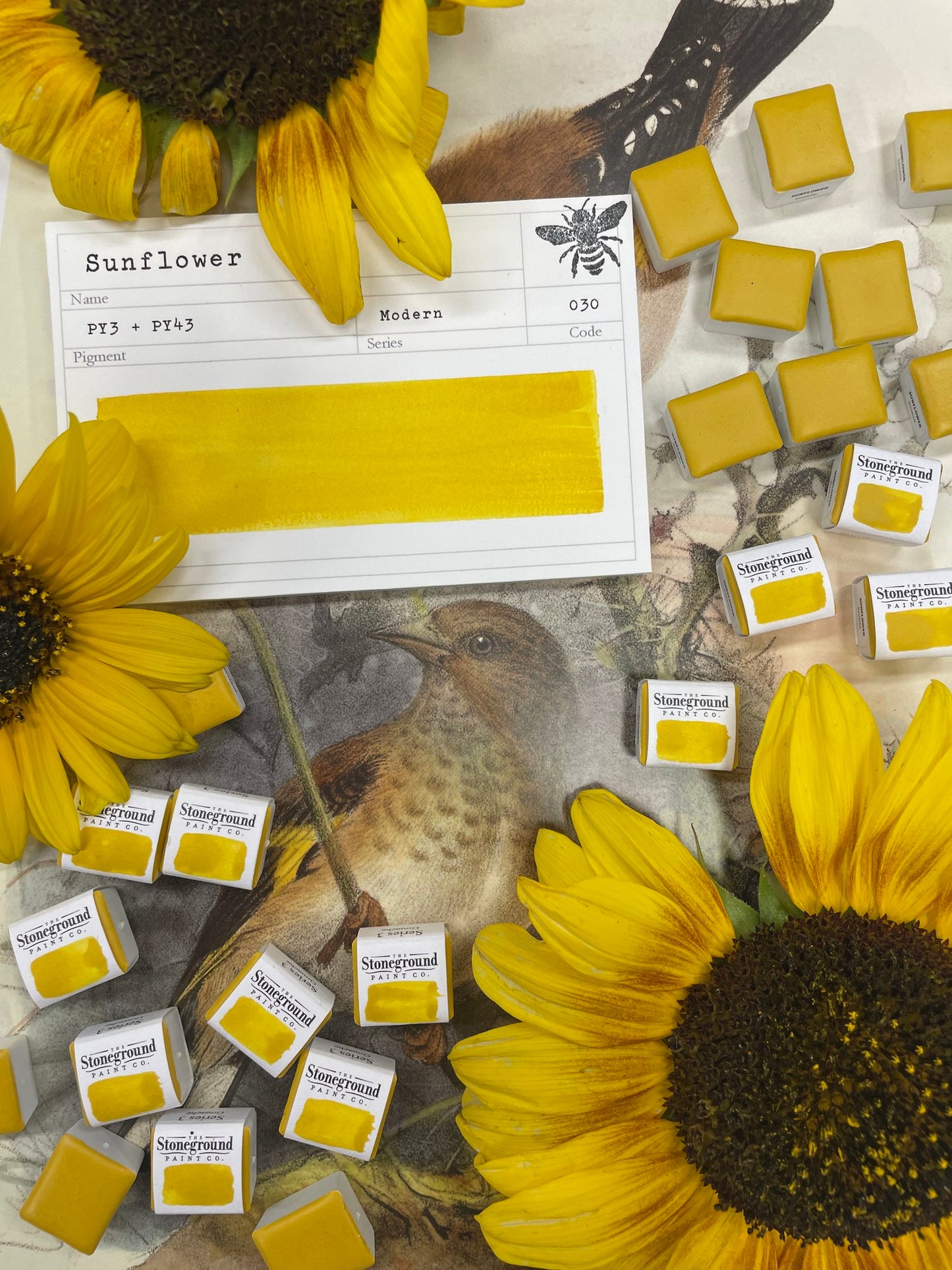 Stoneground Gouache - Sunflower