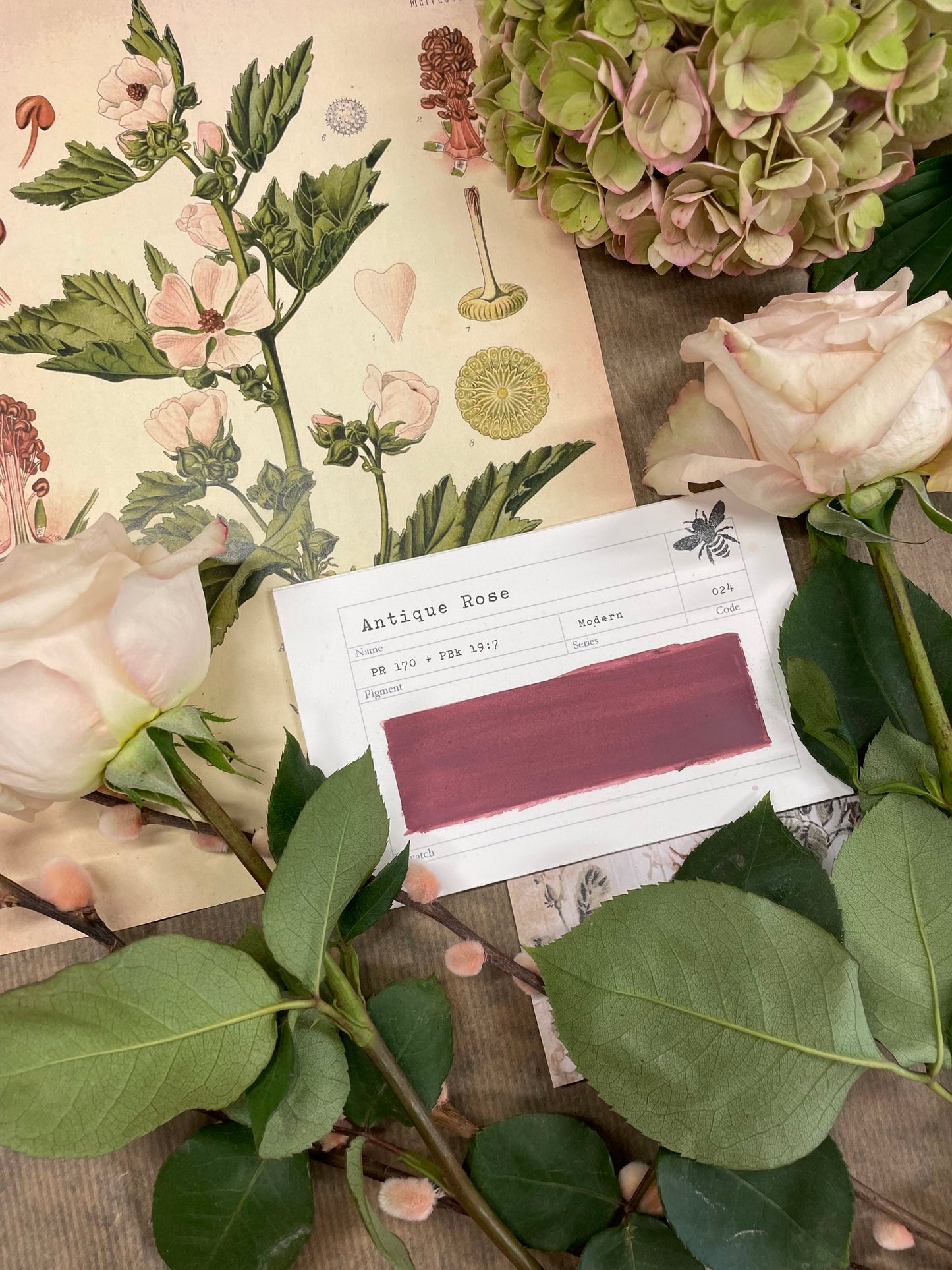 Stoneground Gouache - Antique Rose