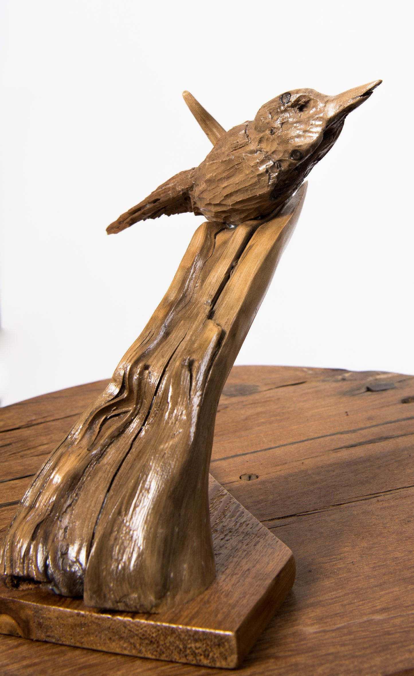 Bird by Carol MacNeil