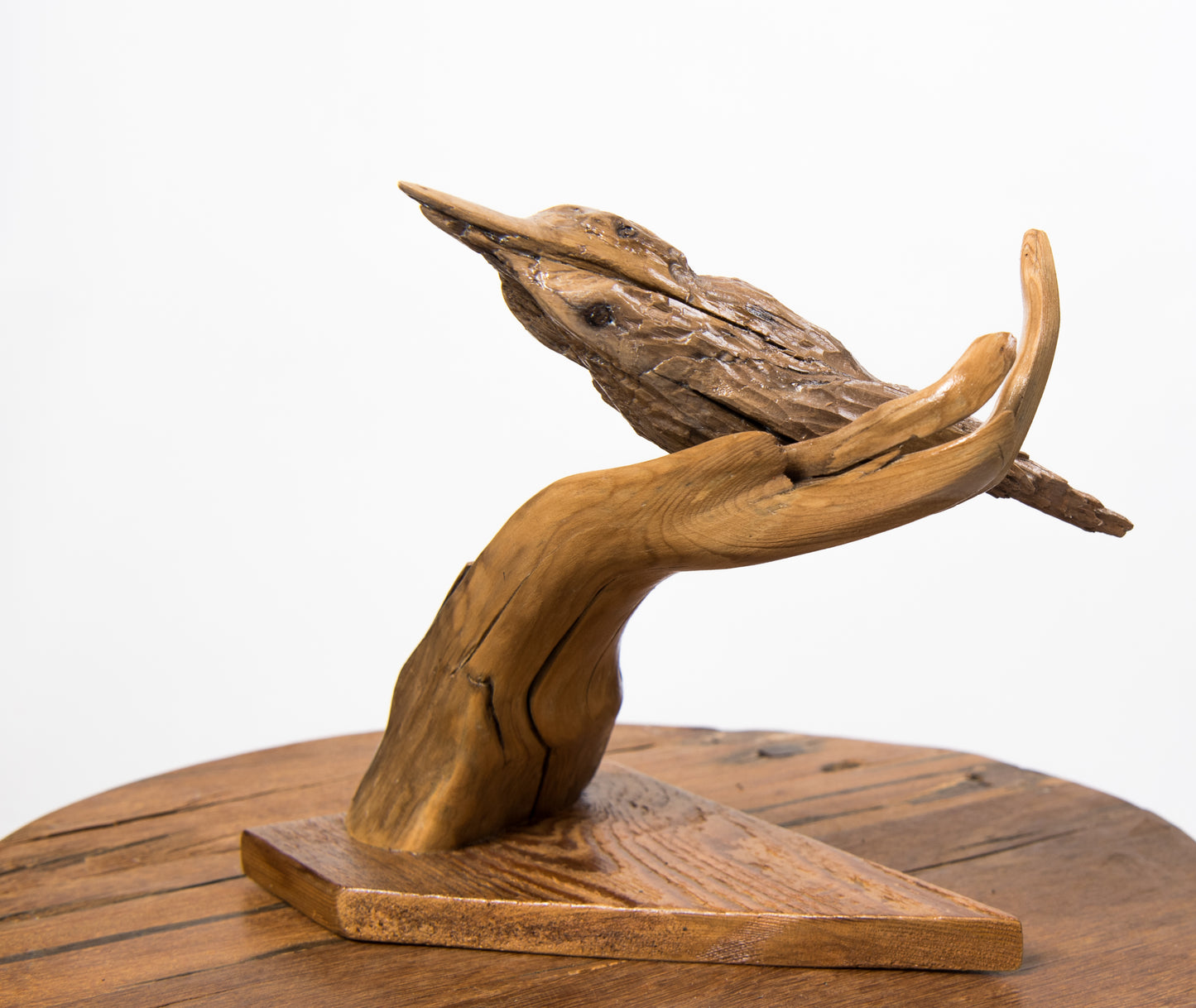 Bird by Carol MacNeil
