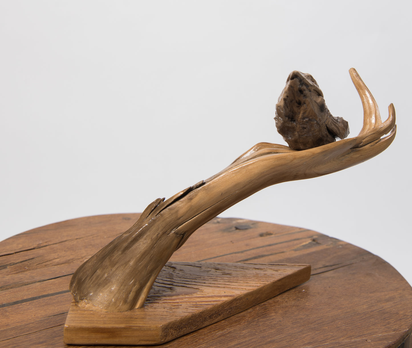 Bird by Carol MacNeil