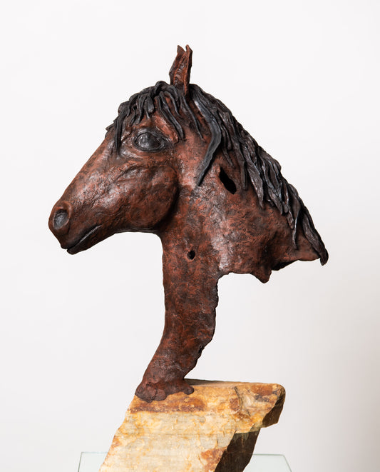 Horse Head by Anja Kooistra