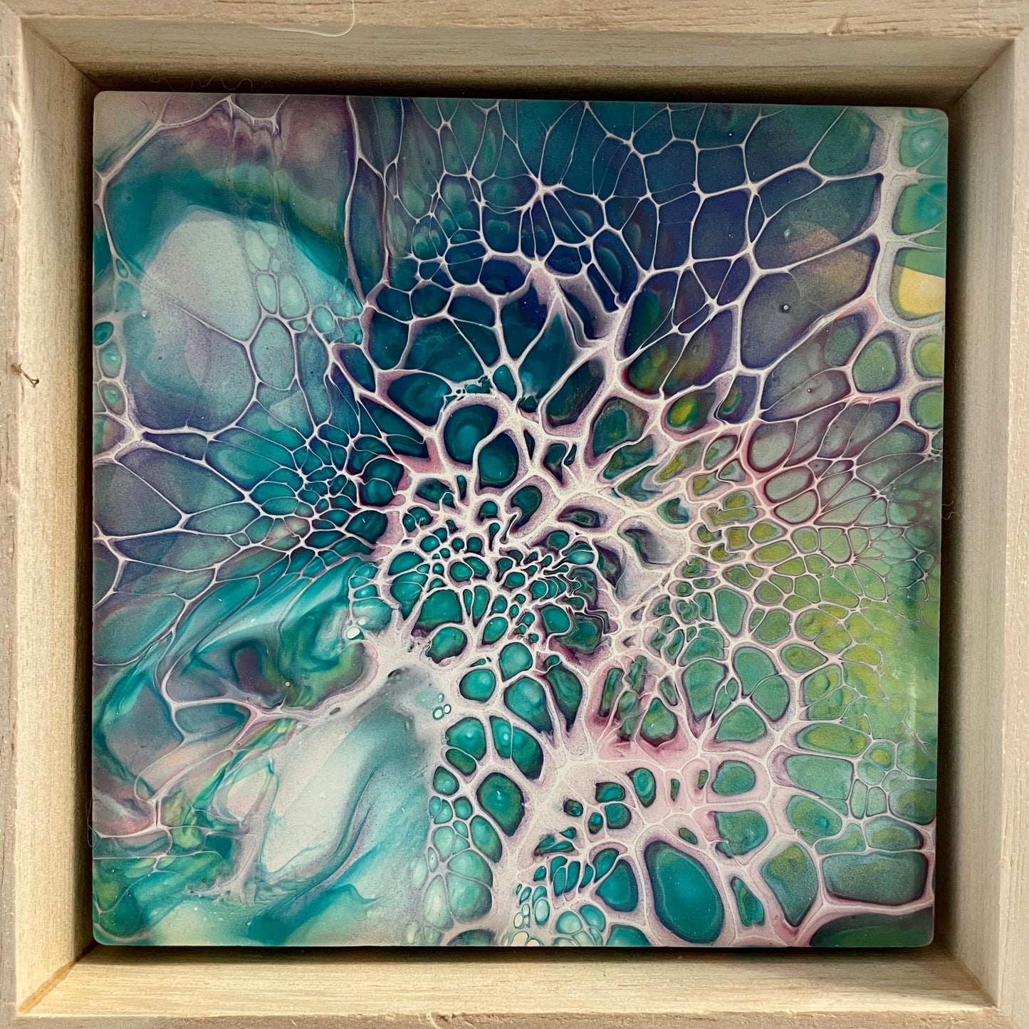 Colour Pops by Mary Perkins