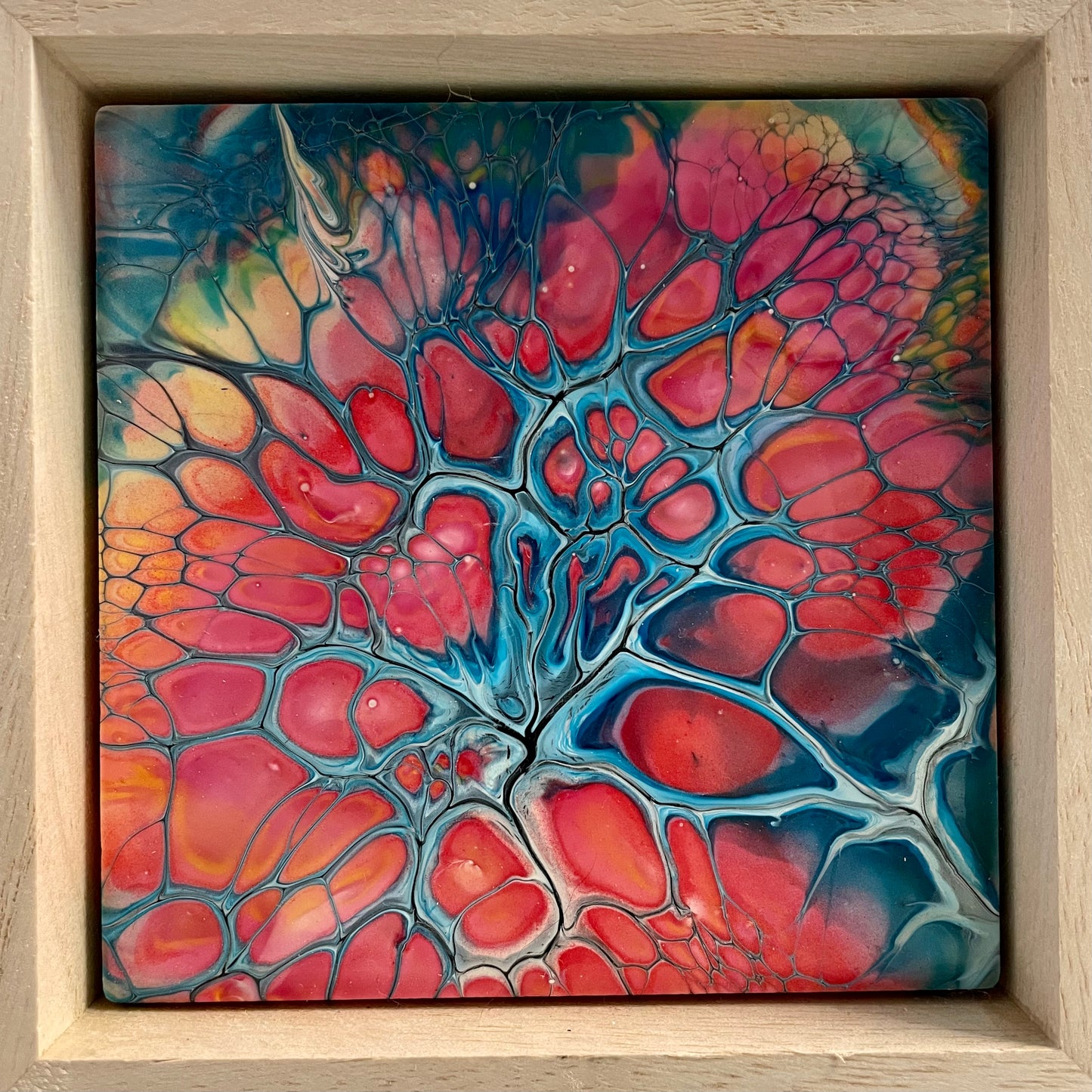 Colour Pops by Mary Perkins