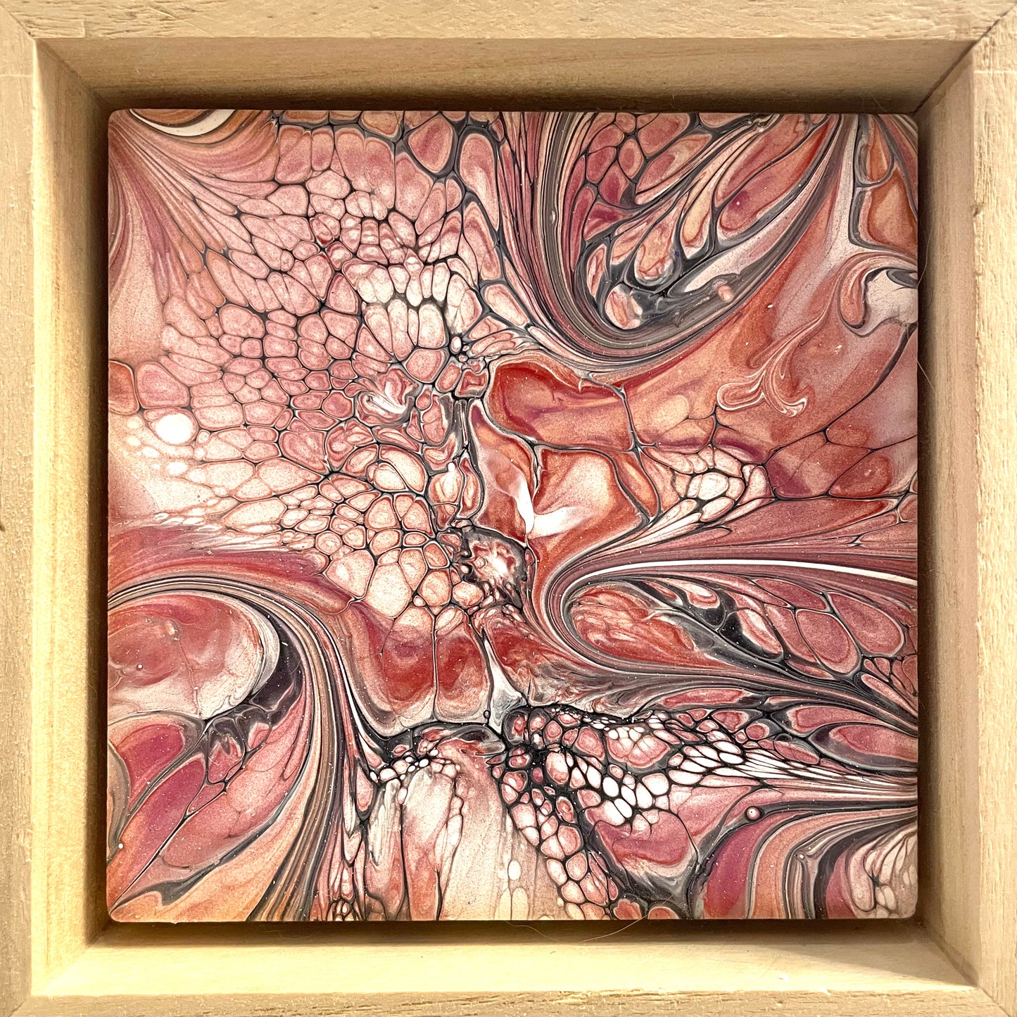 Colour Pops by Mary Perkins