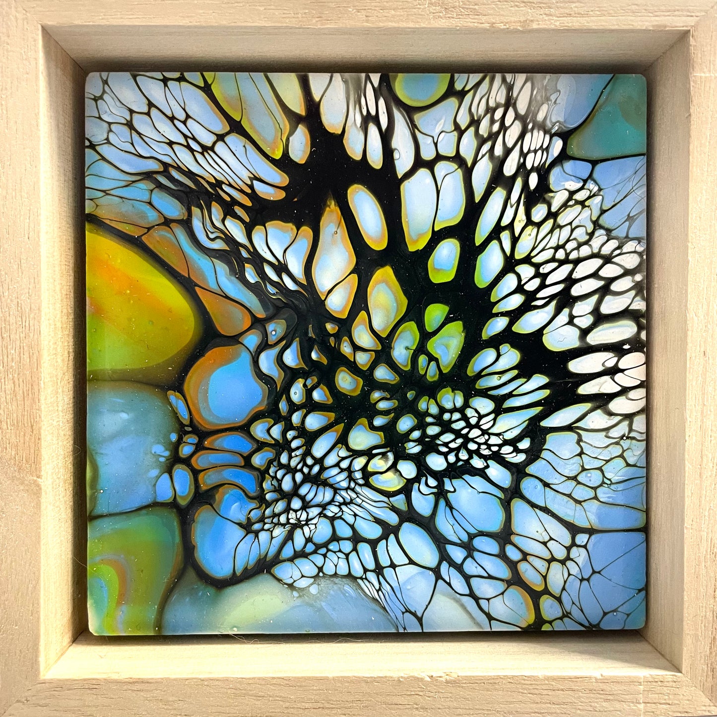 Colour Pops by Mary Perkins
