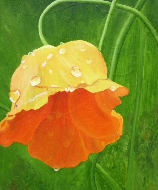 California’s Dry by Nancy R. Chalut