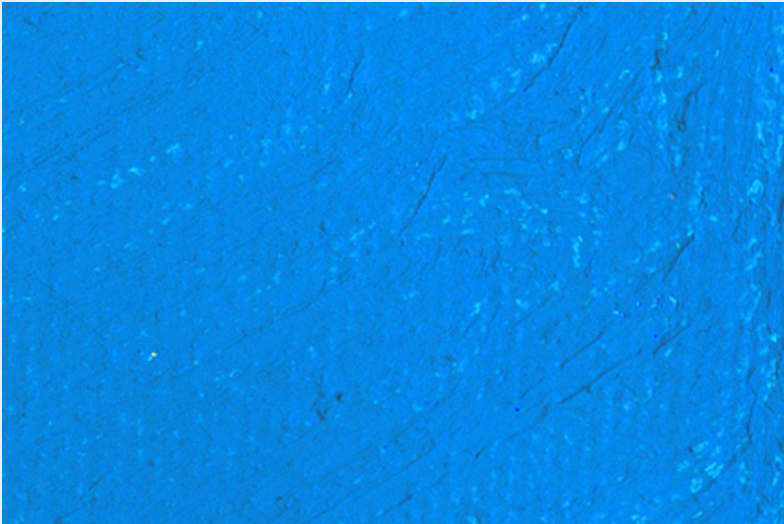 Kama Cyan Oil Stick