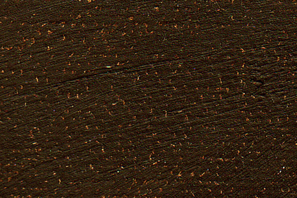 Kama Burnt Umber Oil Stick