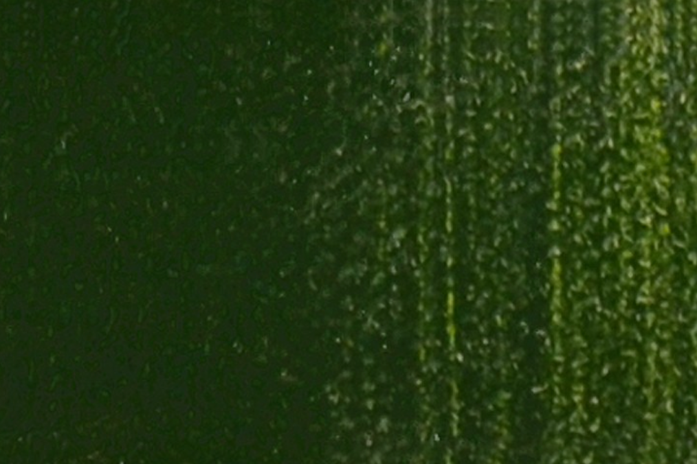 Peinture à l'huile verte Kama Sap