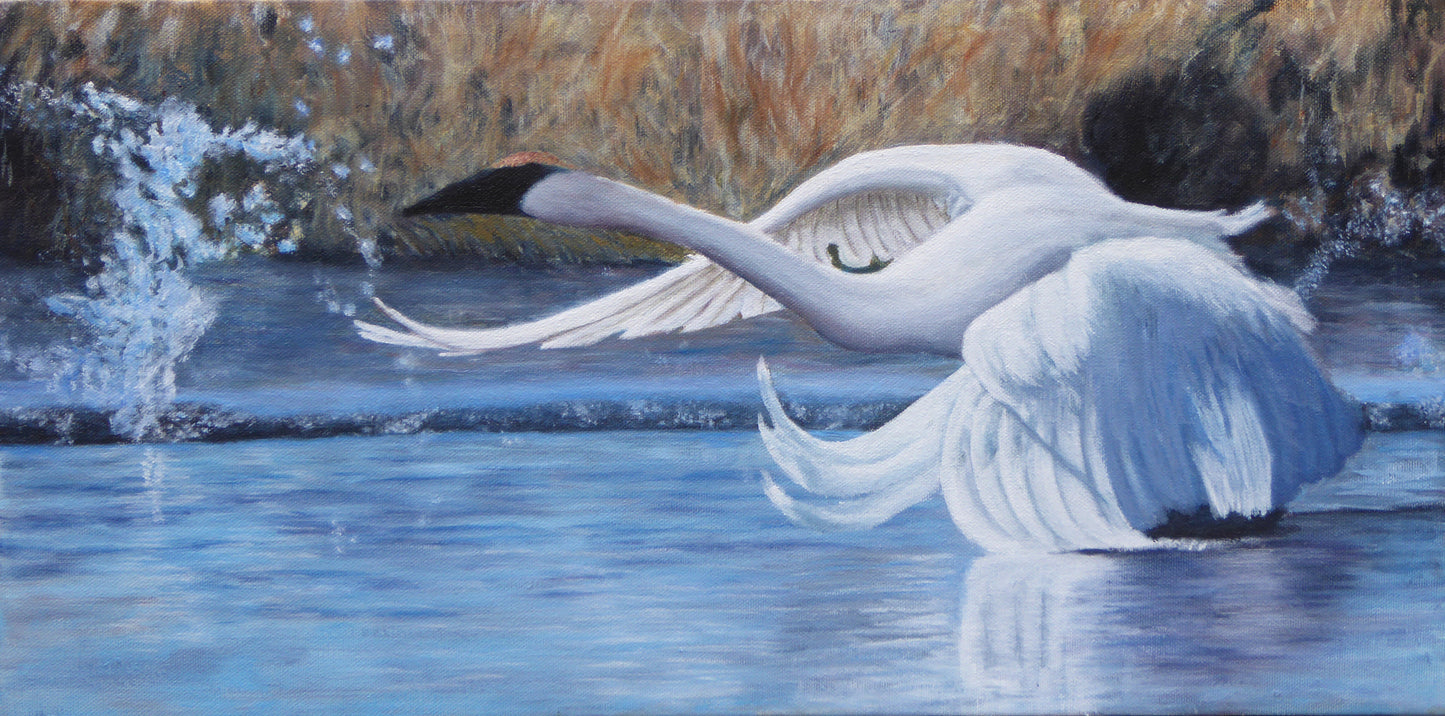 Water Walkers 3 by Nancy R. Chalut - SOLD