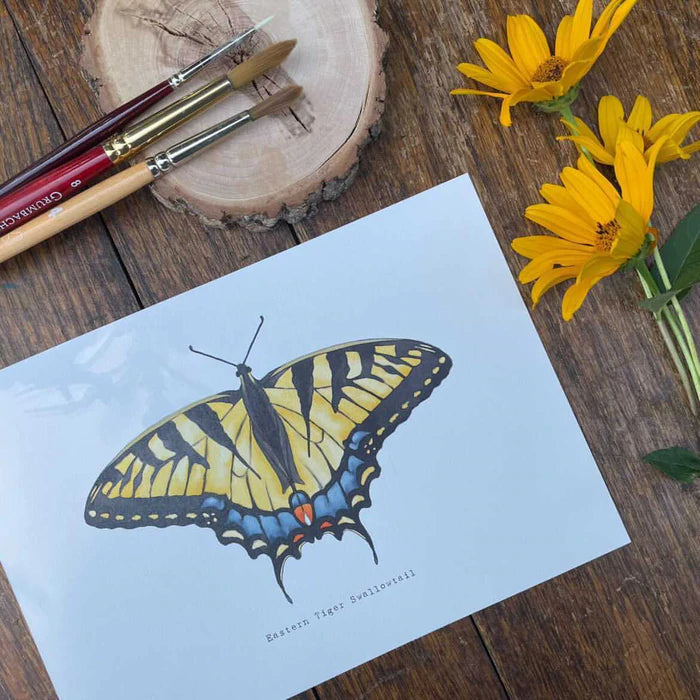 Tisgan Bebezhik Gindaaswin: Peinture par numéro - Machaon tigré de l'Est