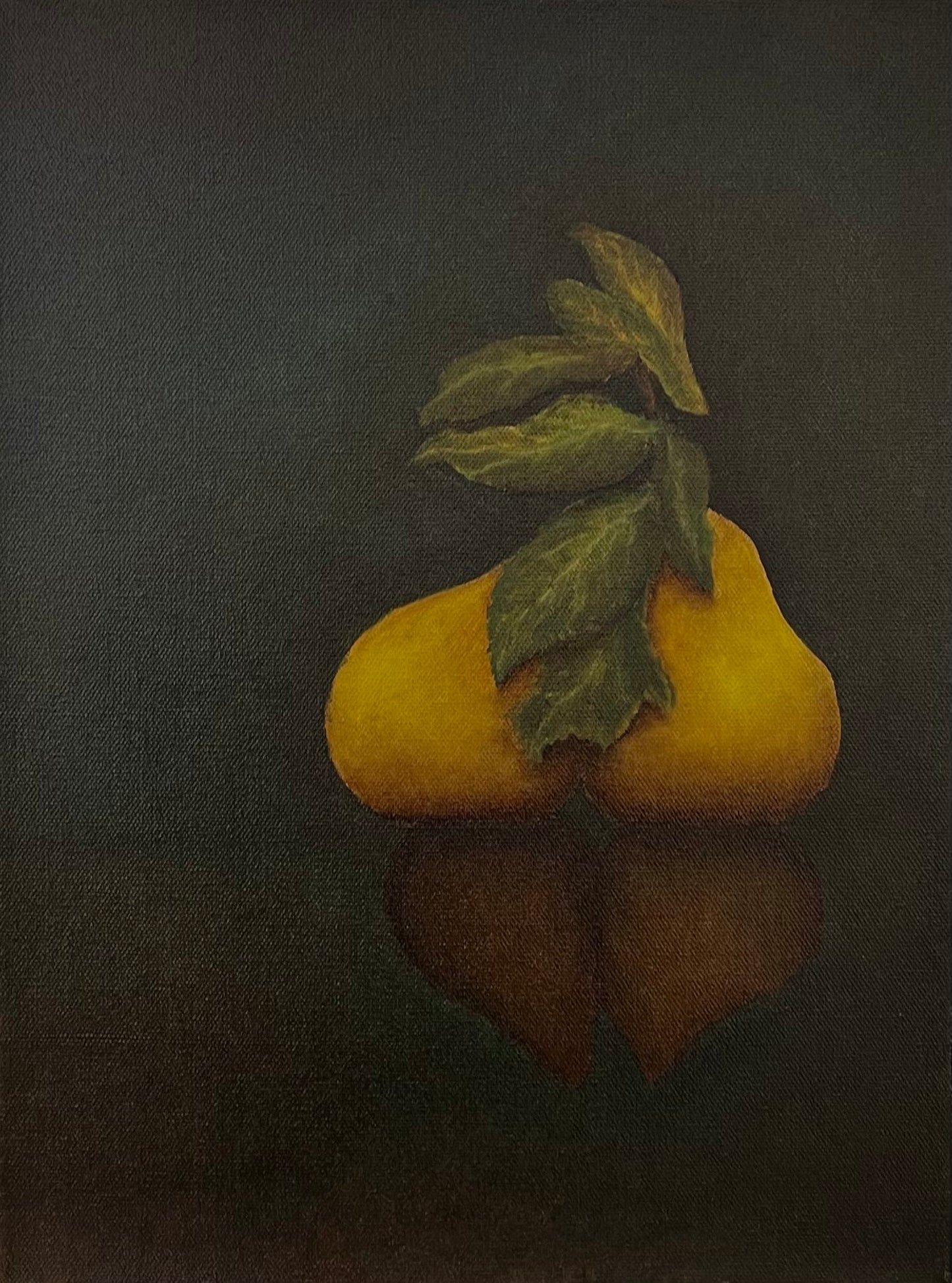 Pair Illusions by Nancy R. Chalut