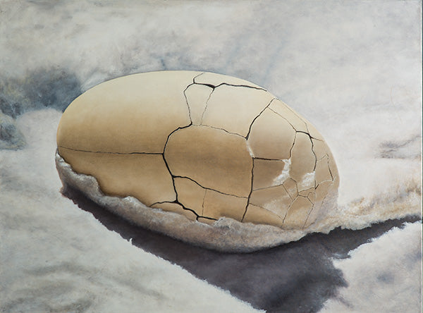 Chaos Egg by Nancy R. Chalut