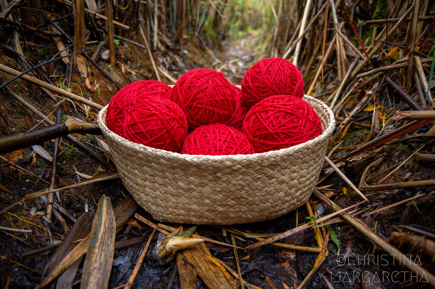 Basket of Yarn by Christina Margaretha