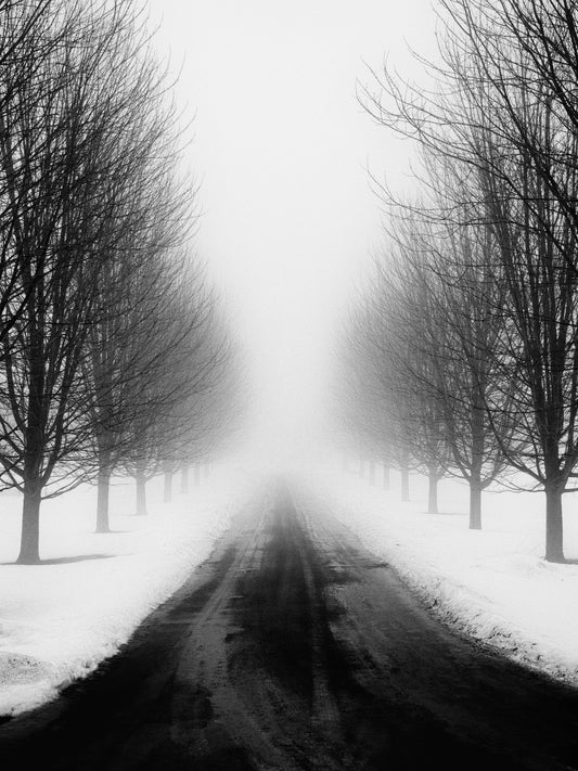 Abyss by Kevin Ford