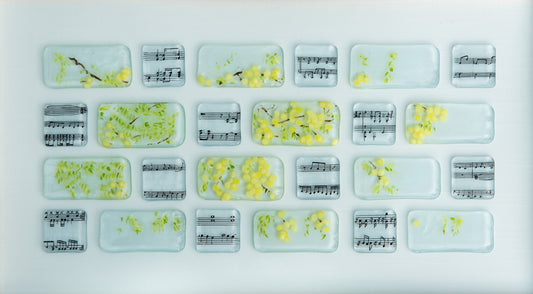 Mimosa Anthem by Kate Greenway