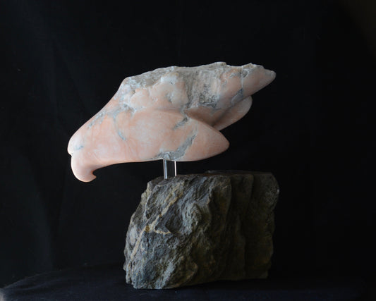 After The Battle by Gordon Reidt