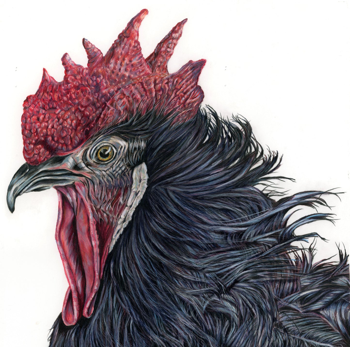 Good Morning by  Laura Steels Hitchcock