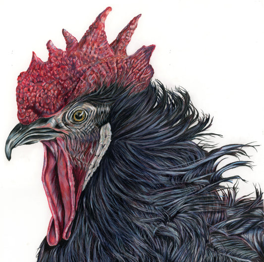 Good Morning by  Laura Steels Hitchcock