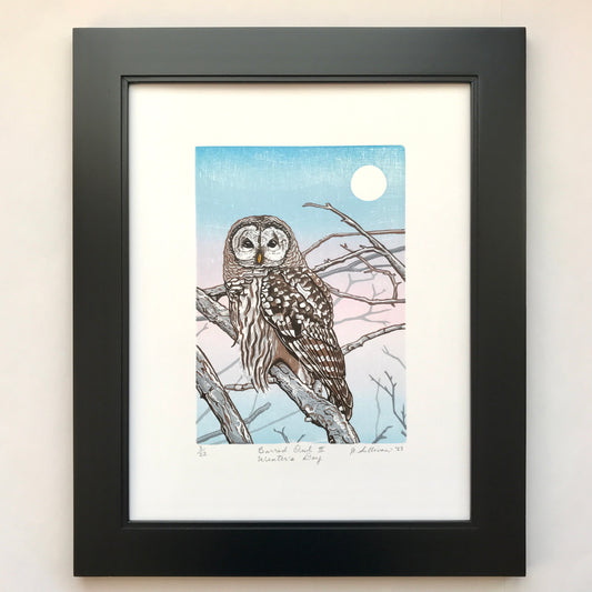 Barn Owl by Jacquie Sullivan