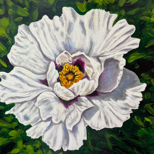 The Quiet Bloom by Jaime McGill