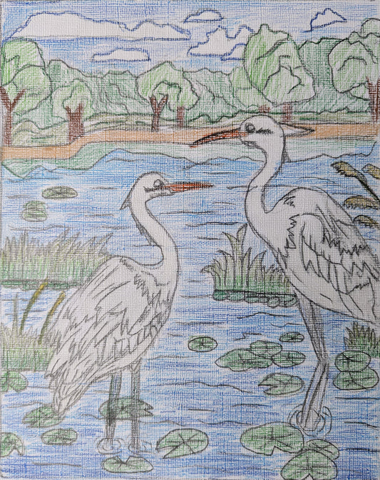 Cranes in Pond by Aarya - Kids Juried Art Show