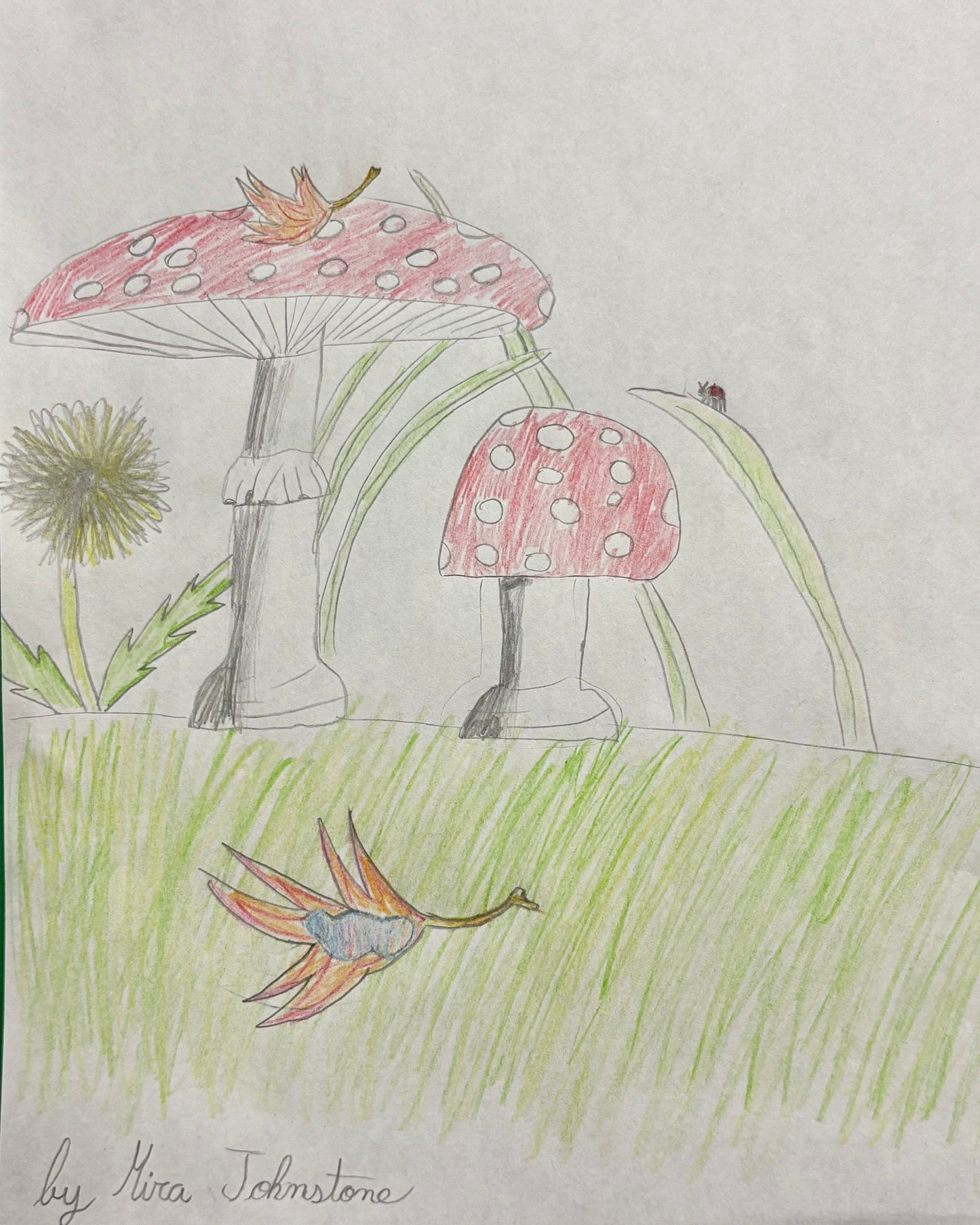 Fall Mushrooms by Mira - Kids Juried Art Show