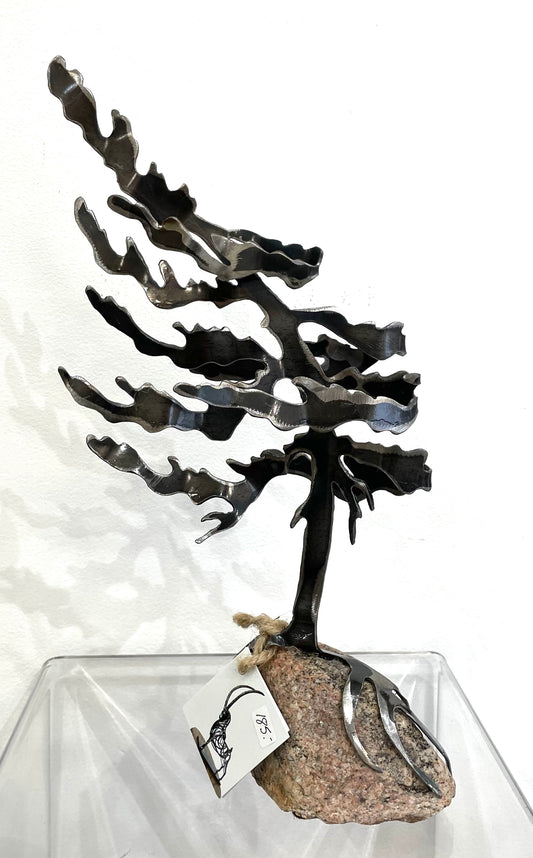 Windswept Trees by Daniella Boerhof