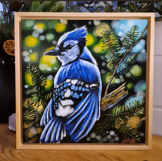 Bird Watching by Jaime McGill