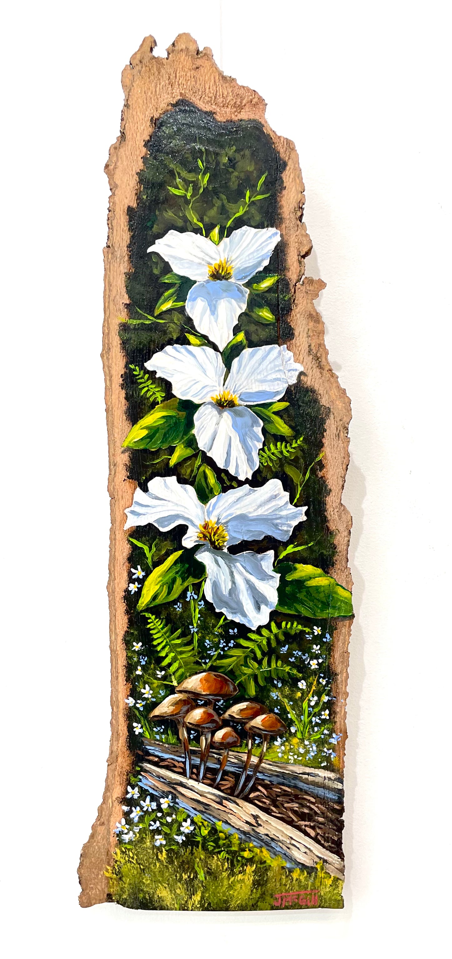 Trillium Trio by Jaime McGill