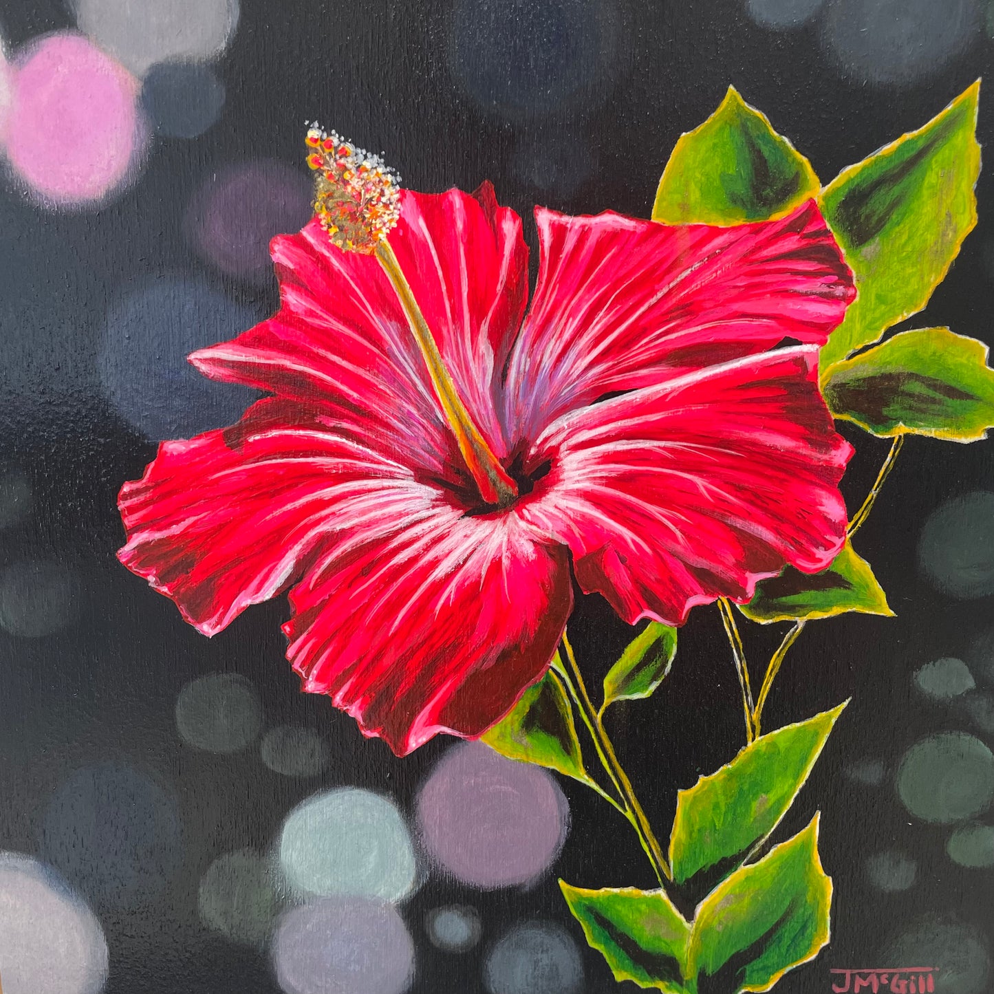 Hibiscus Magic by Jaime McGill