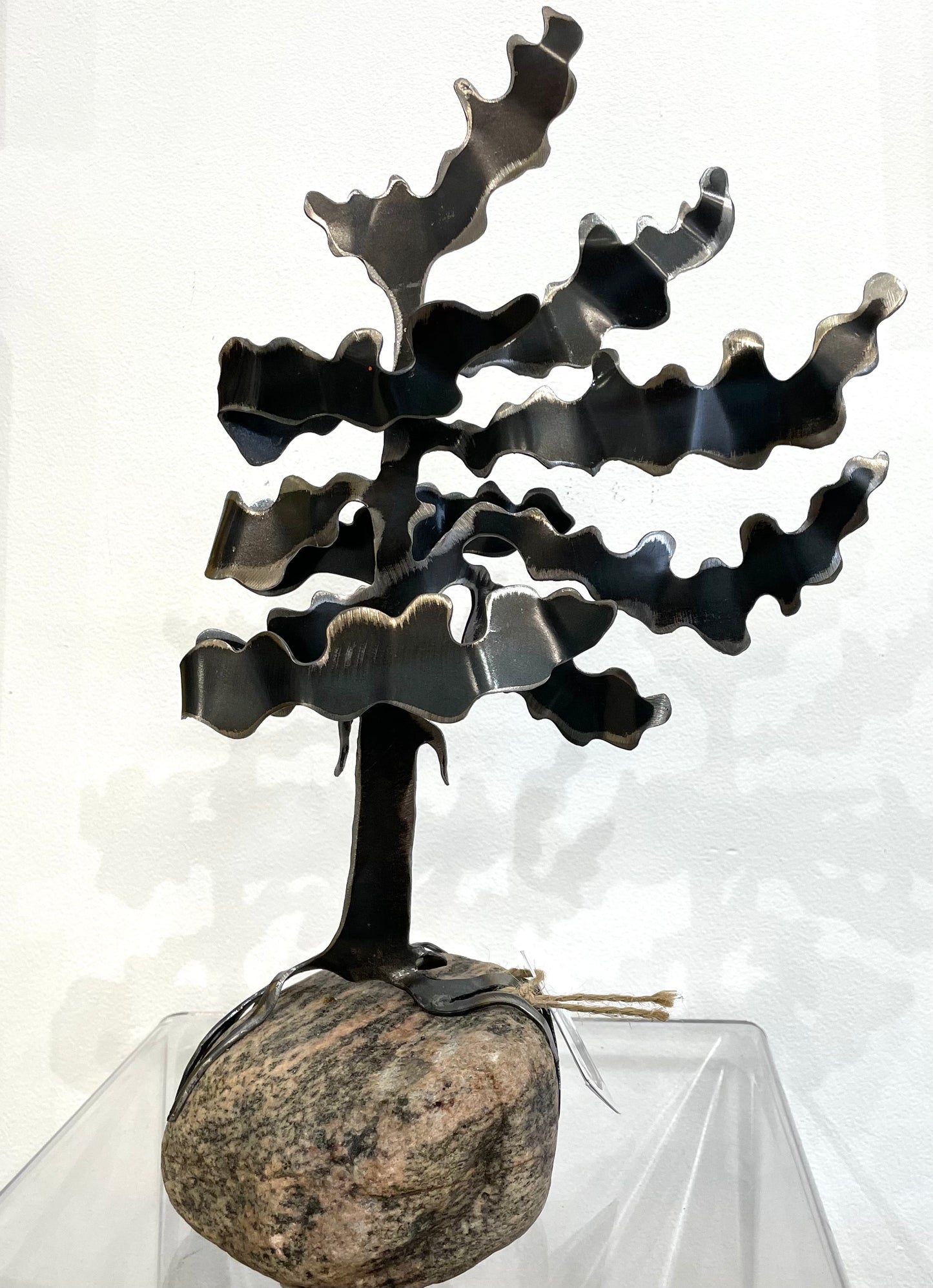 Windswept Trees by Daniella Boerhof