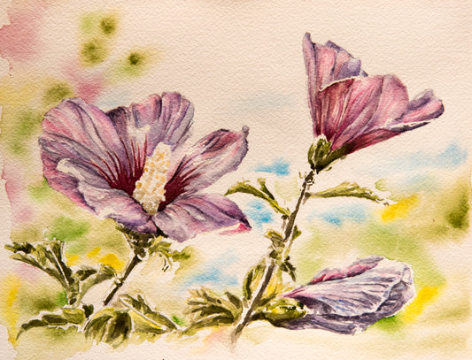 Pink Hibiscus by Kate Greenway