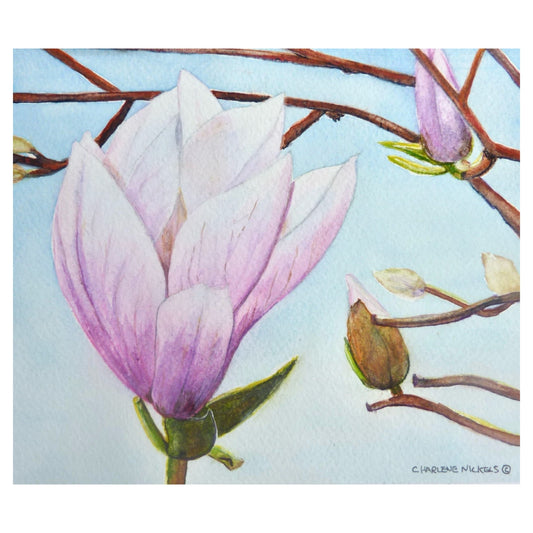 Blooming Glory II by Charlene Nickels