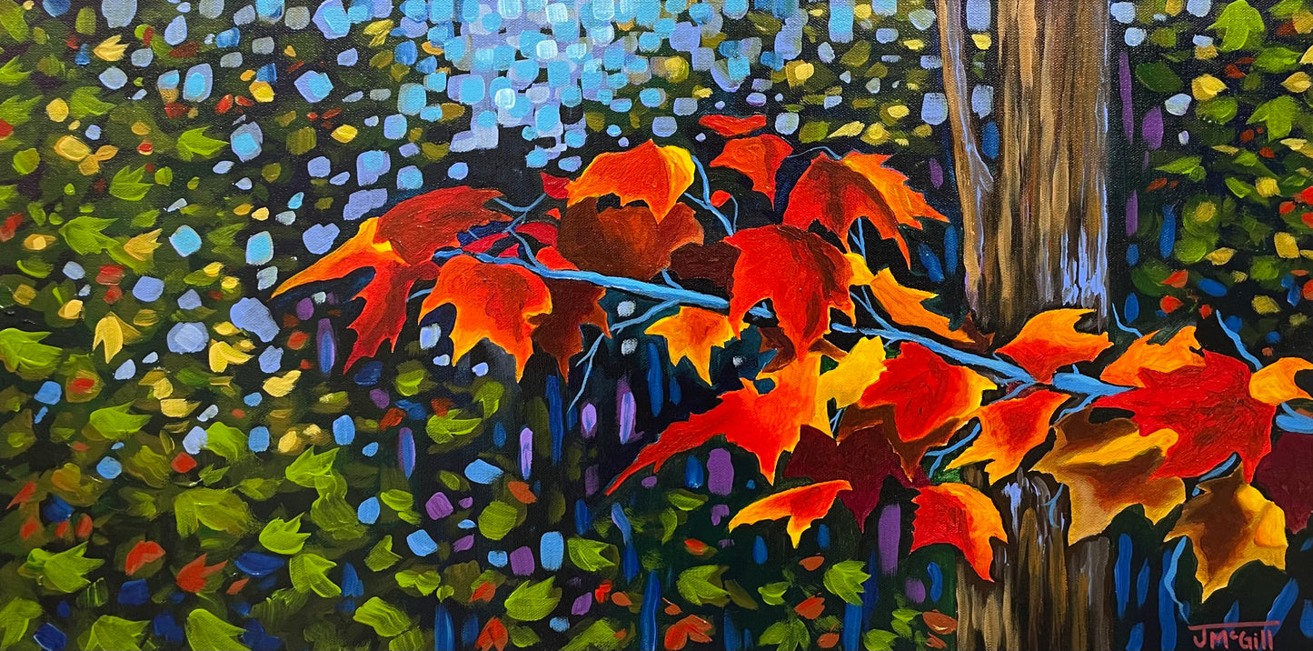 Caught In Colour by Jaime McGill