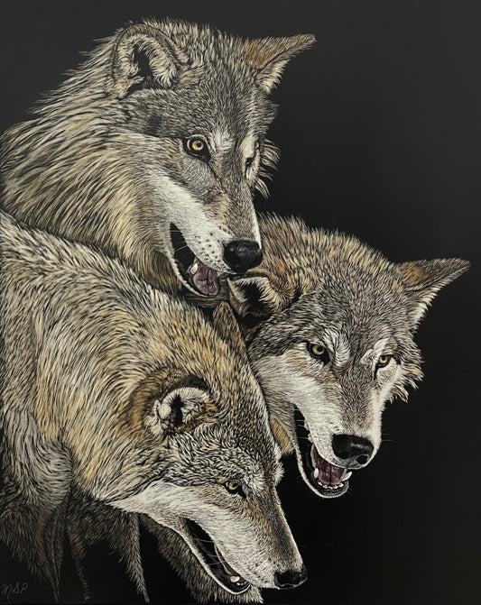 The Pack by Margaret Pardy