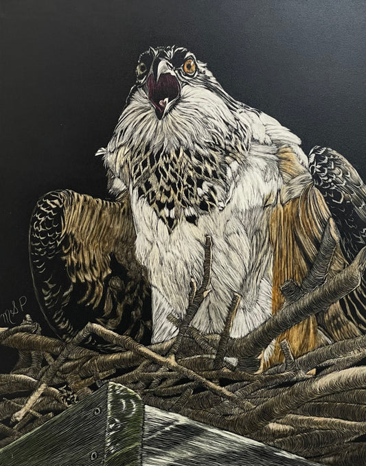 Protecting The Nest by Margaret Pardy