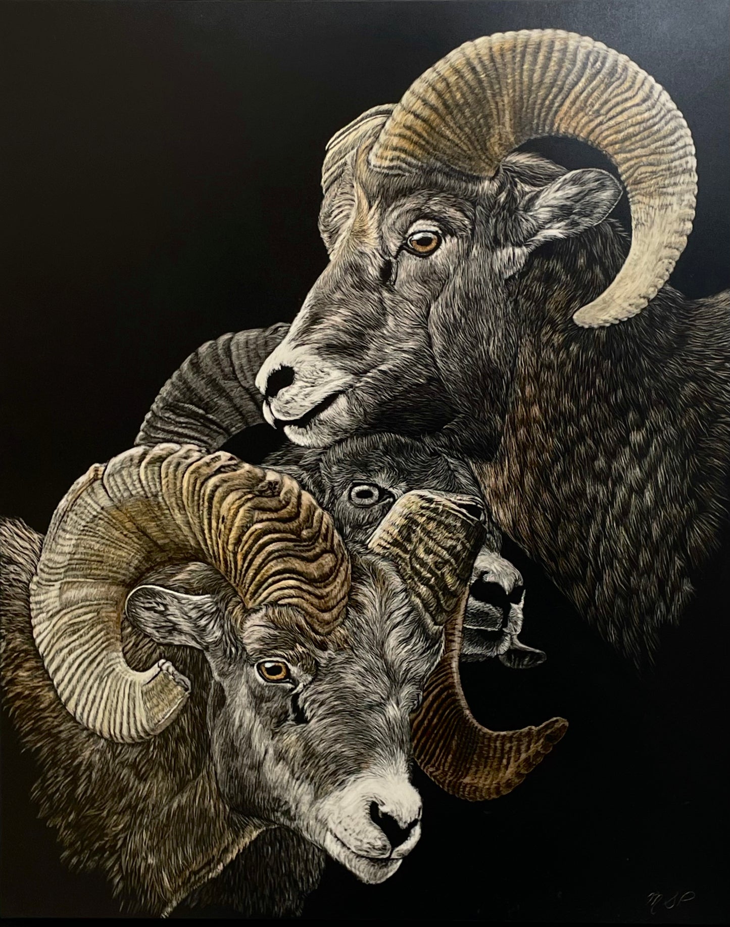 Three is Company by Margaret Pardy
