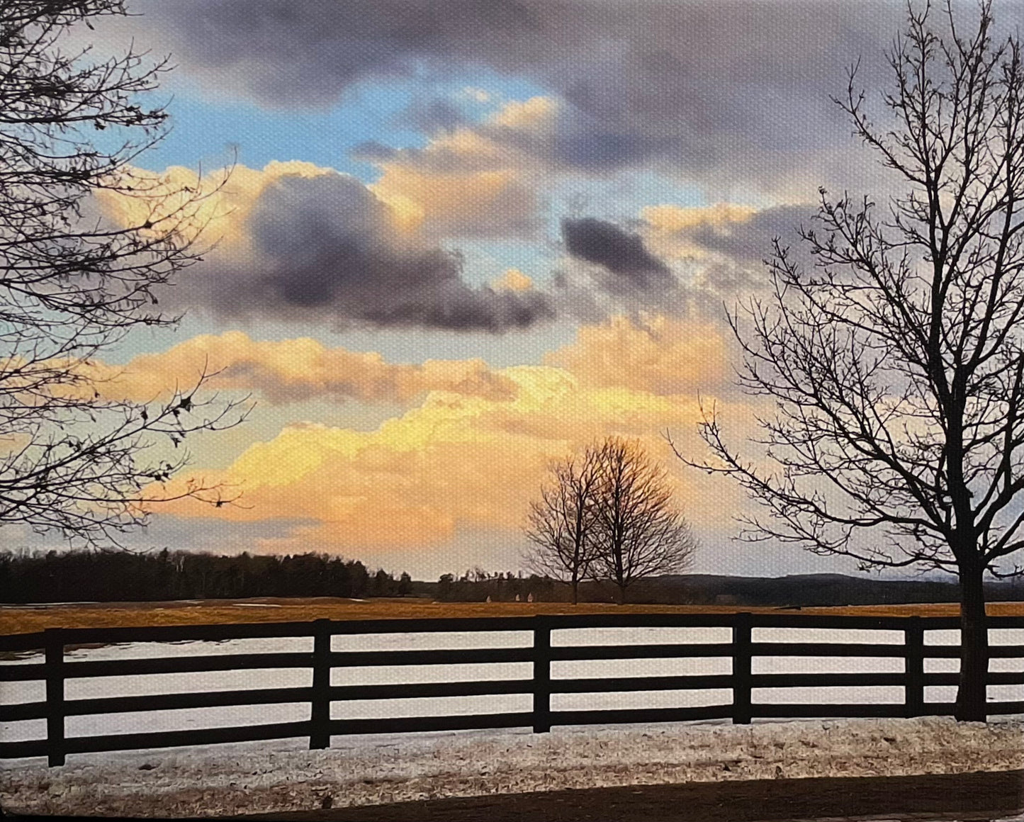 Wintery Portent by EC Munson
